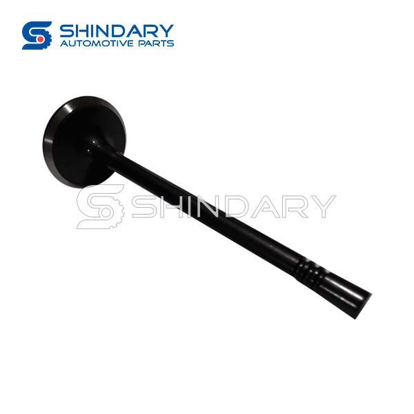 Exhaust Valve 5302 0748 for JEEP